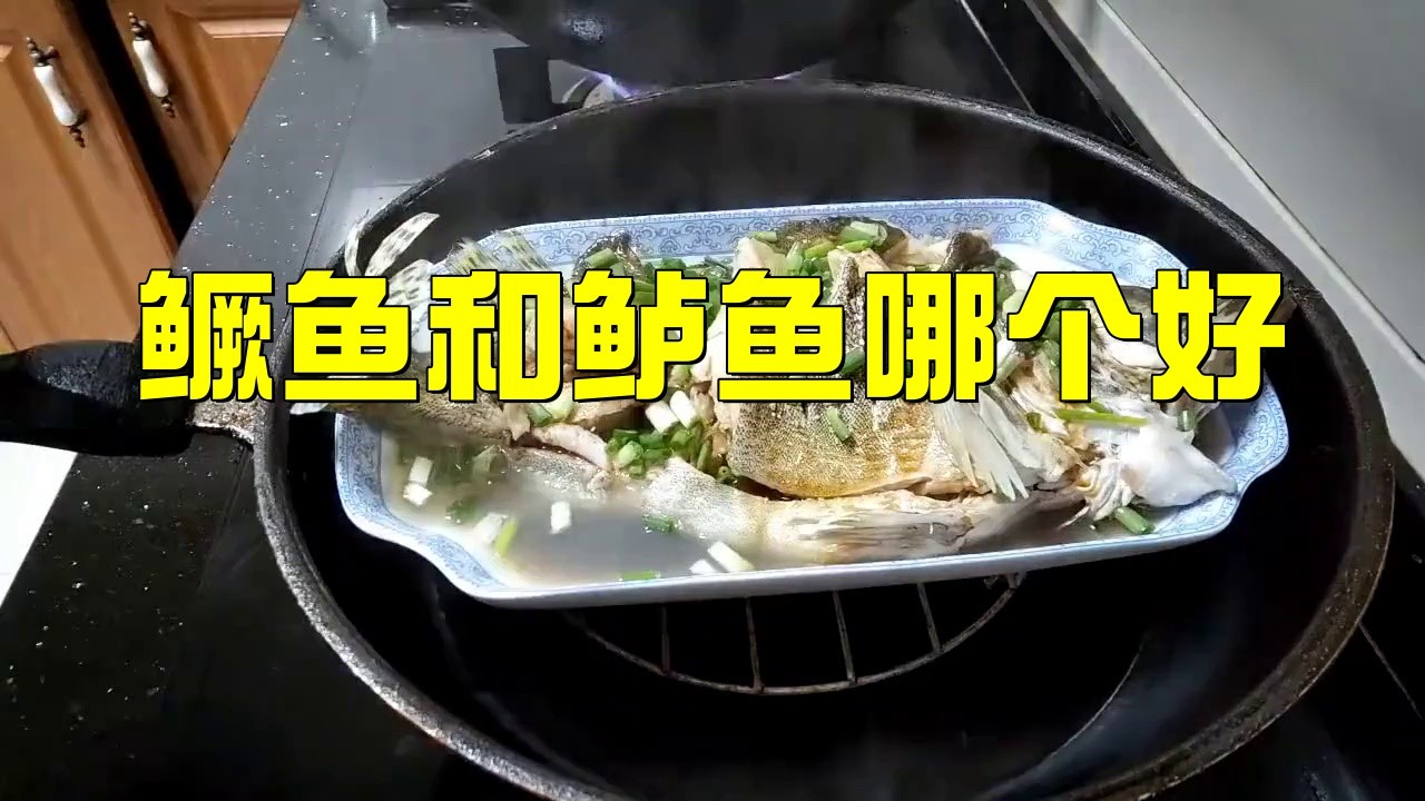 桂魚跟鱸魚哪個好