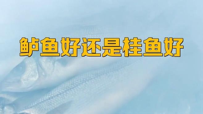 桂魚跟鱸魚哪個好