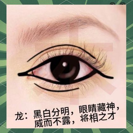 最標(biāo)準(zhǔn)的龍眼面相