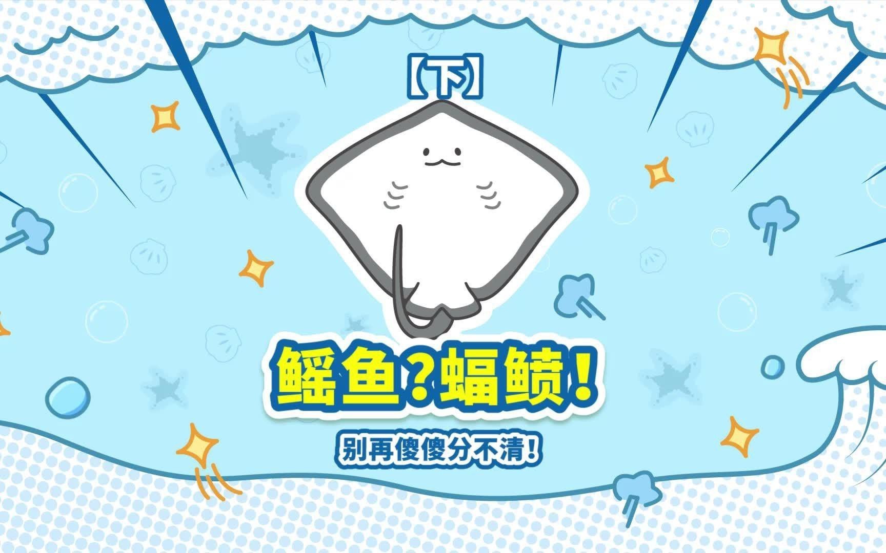 蝠鲼跟鰩魚的區別