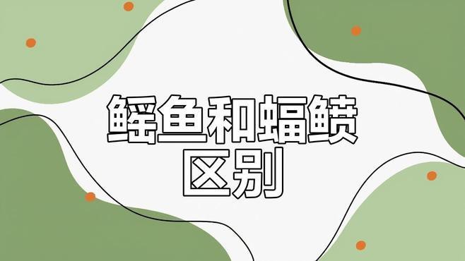 蝠鲼跟鰩魚的區別