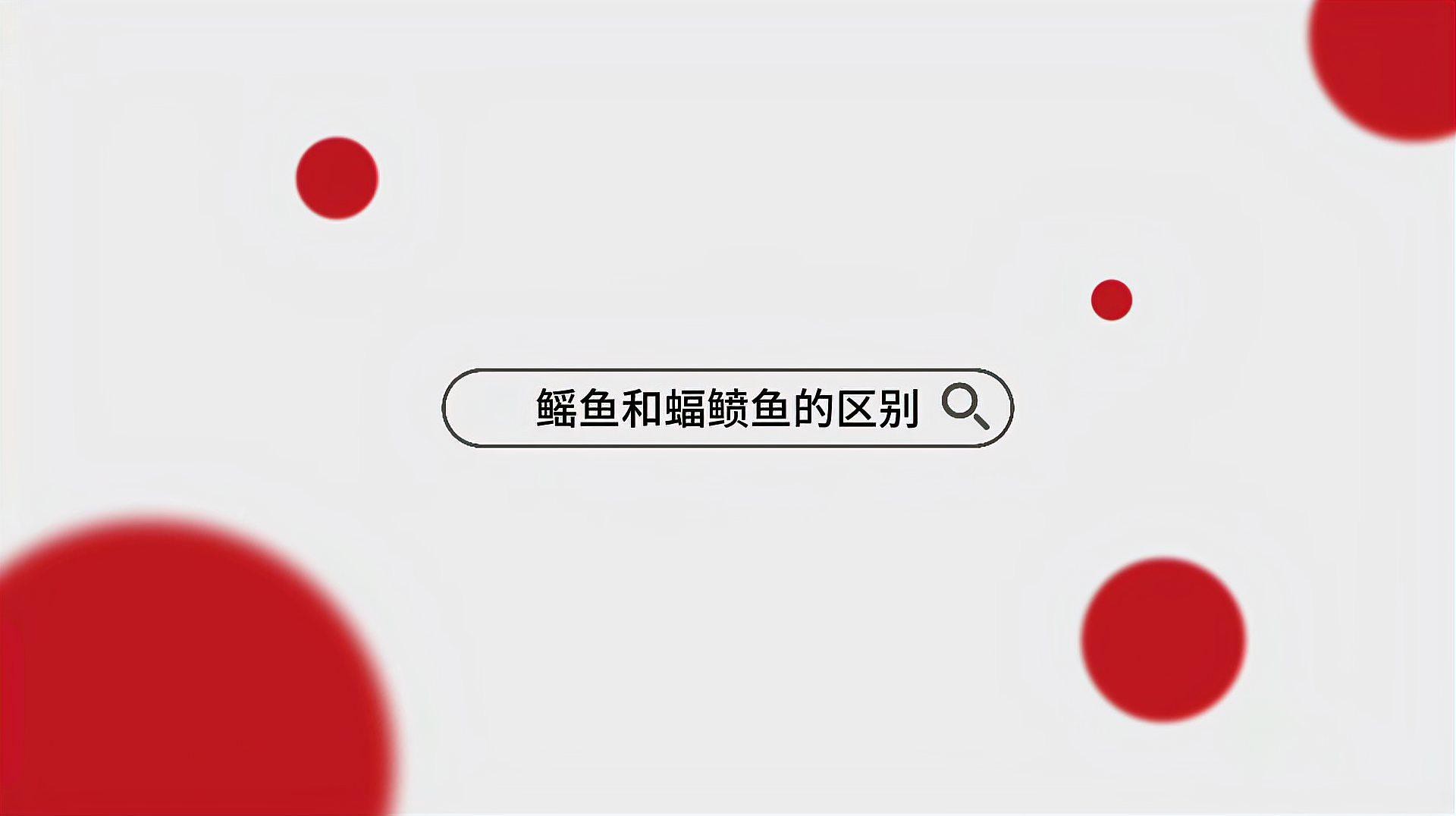 蝠鲼跟鰩魚的區別