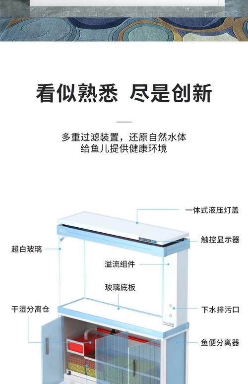 如何預防金龍魚再次跳缸 龍魚百科 第9張 如何預防金龍魚再次跳缸 如何預防金龍魚再次跳缸 龍魚百科 第9張