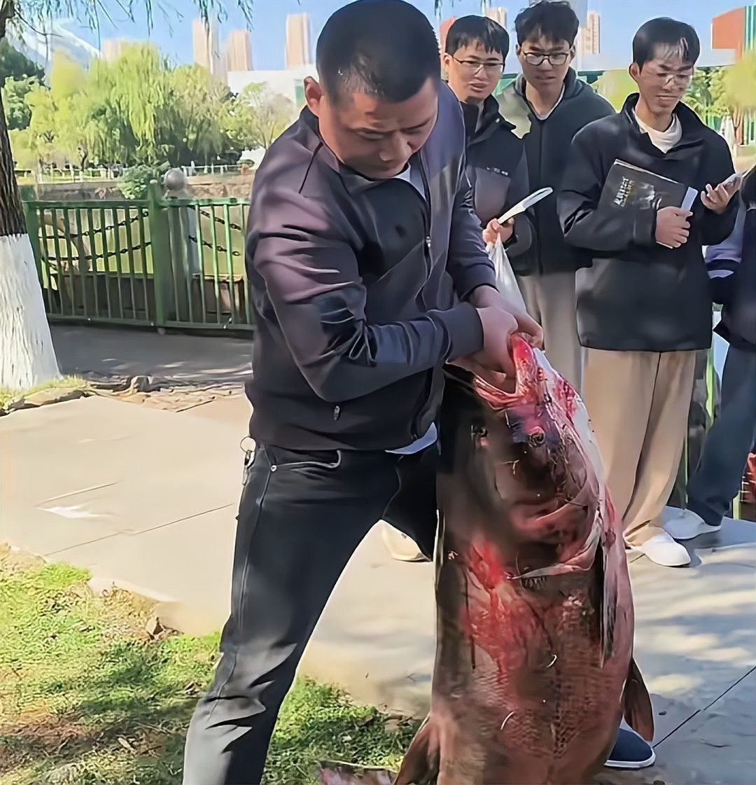 淡水魚最大能長(zhǎng)多少斤