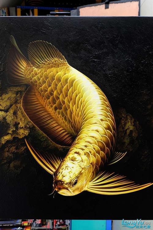 手機(jī)壁紙龍魚圖片大全高清豎屏