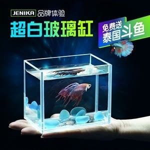 魚缸造景先放沙還是先放水(魚缸造景先鋪沙還是先放石頭) 晉城經(jīng)濟技術(shù)開發(fā)區(qū)晉會水族店(晉城水族館在哪里) 全國水族館企業(yè)名錄 晉城經(jīng)濟技術(shù)開發(fā)區(qū)晉會水族店(晉城水族館在哪里) 晉城經(jīng)濟技術(shù)開發(fā)區(qū)晉會水族店(晉城水族館在哪里) 全國水族館企業(yè)名錄