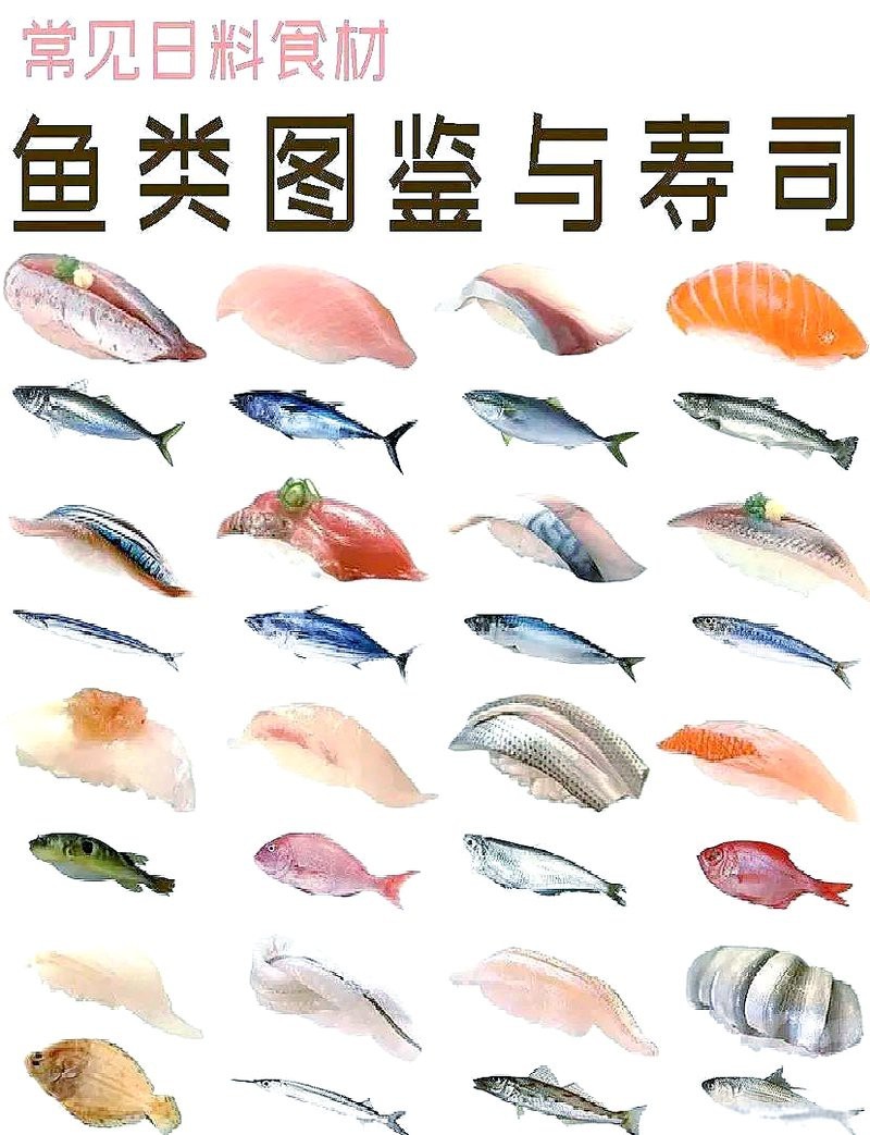 日本各種魚的名稱大全 日本各種魚的名稱大全 龍魚論壇 第2張