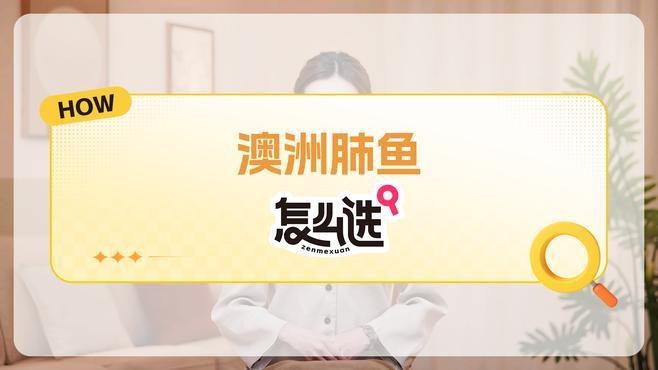 肺魚價格多少錢一只