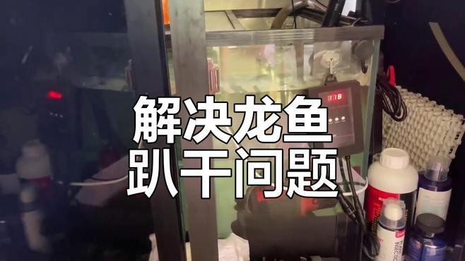 如何判斷紅龍趴缸是否嚴重？