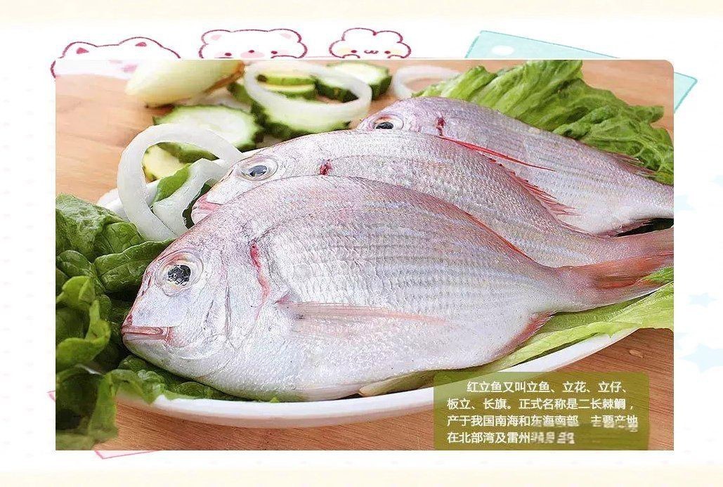 紅立魚是海魚還是淡水魚