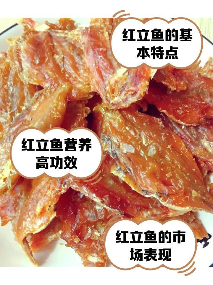 紅立魚是海魚還是淡水魚