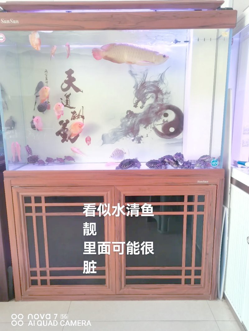 森森魚缸拆洗教程視頻 森森魚缸拆洗教程視頻 龍魚論壇 第2張