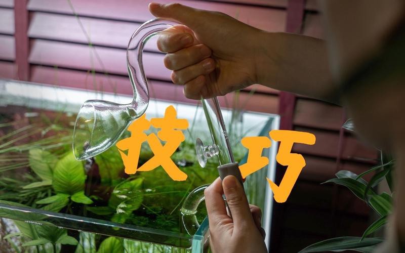 森森魚缸拆洗教程視頻 森森魚缸拆洗教程視頻 龍魚論壇 第6張
