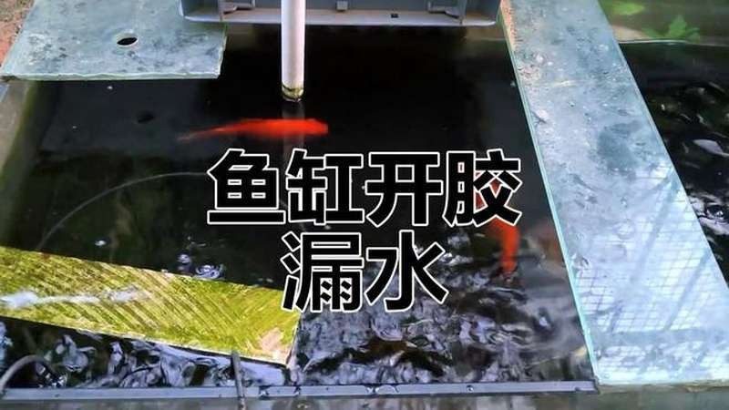 森森魚缸拆洗教程視頻 森森魚缸拆洗教程視頻 龍魚論壇 第7張