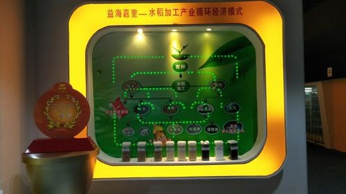 金龍魚與競爭對手相比有何優勢？