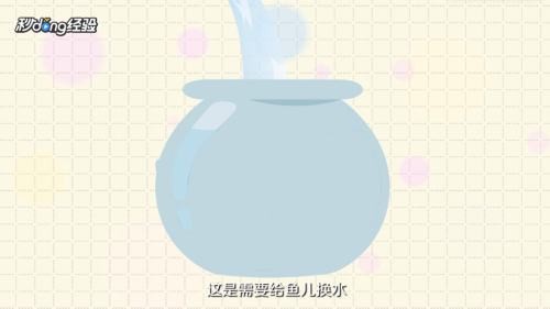 雙線側魚（雙線側魚的市場價格）