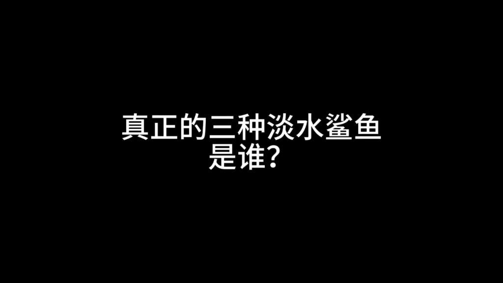 淡水鯊魚10大品種