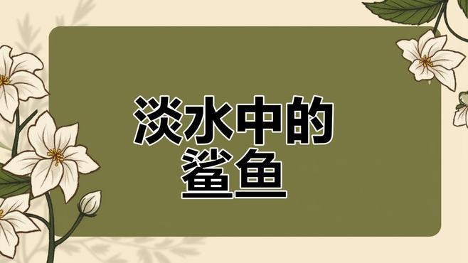 淡水鯊魚10大品種