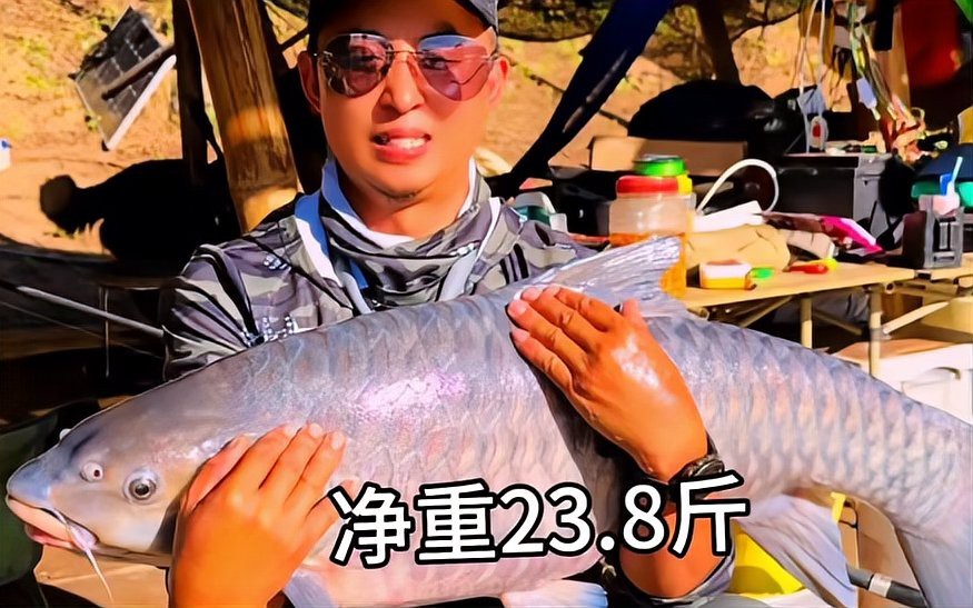 吉羅魚為什么沒人養
