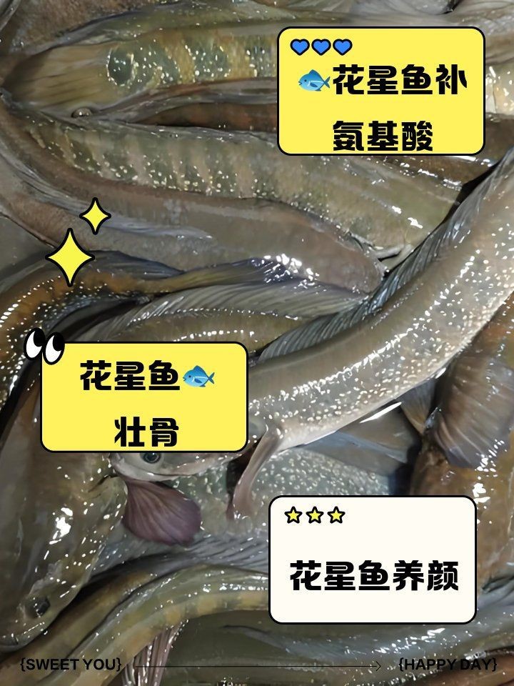 花星魚的功效和作用