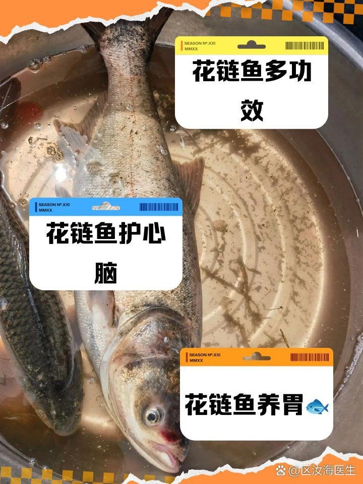 花星魚的功效和作用