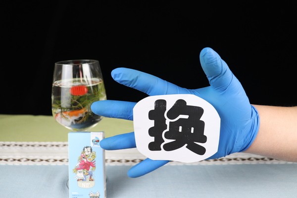 銀龍魚吃什么長得快又好養(yǎng)(銀龍魚吃什么小魚好)
