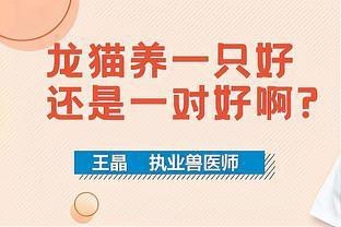 龍貓單養和雙養哪個更累？
