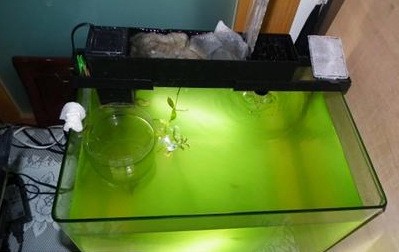 魚缸維修在58同城（58同城維修服務保障案例魚缸定制改造價格范圍魚缸定制改造價格范圍）
