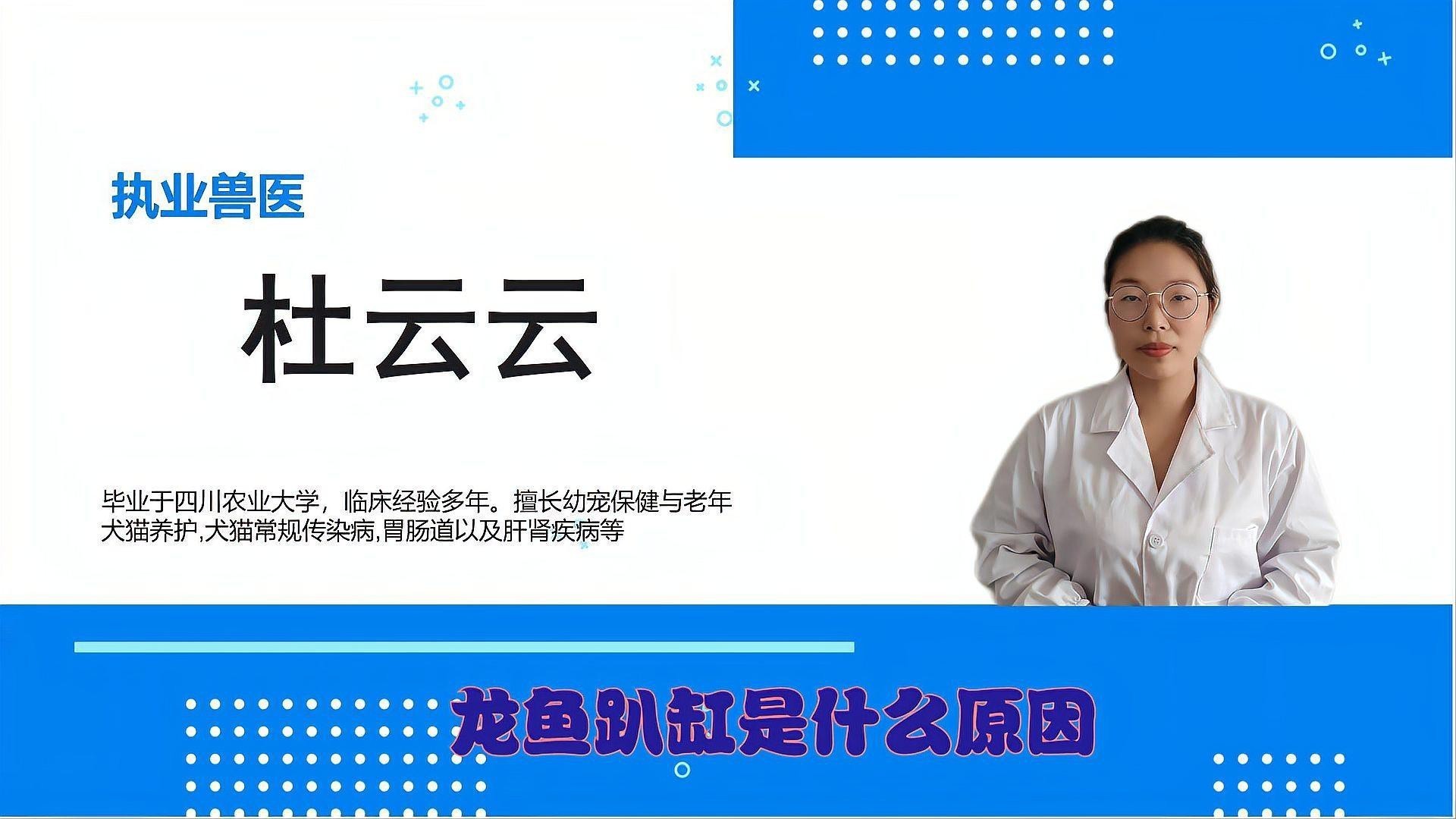 龍魚趴缸如何預防？ 龍魚趴缸如何預防？ 龍魚論壇 第1張