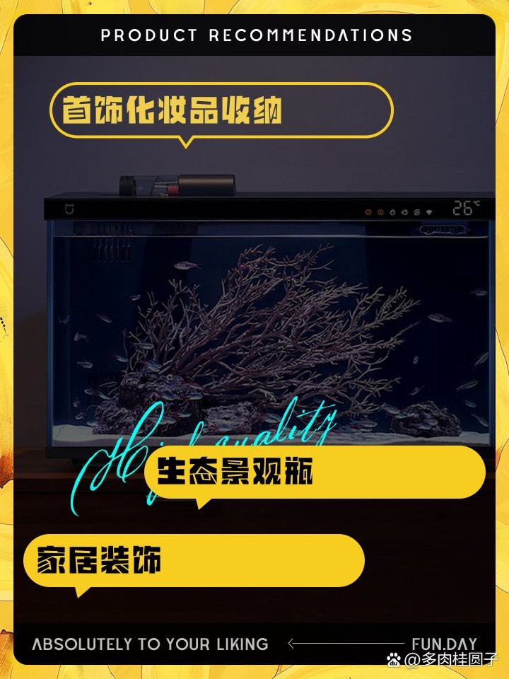 廢舊魚(yú)缸妙用100種