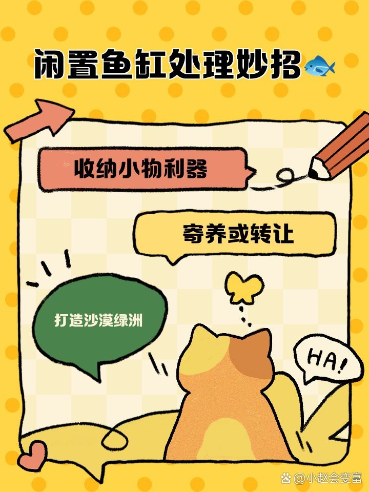 廢舊魚(yú)缸妙用100種