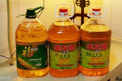 鐘樓區(qū)五星青宸水族店