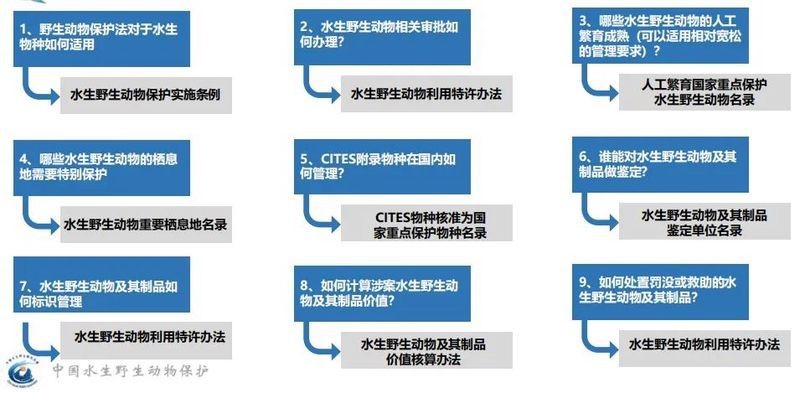 祥龍漁場龍魚芯片證書的補辦流程是怎樣的？