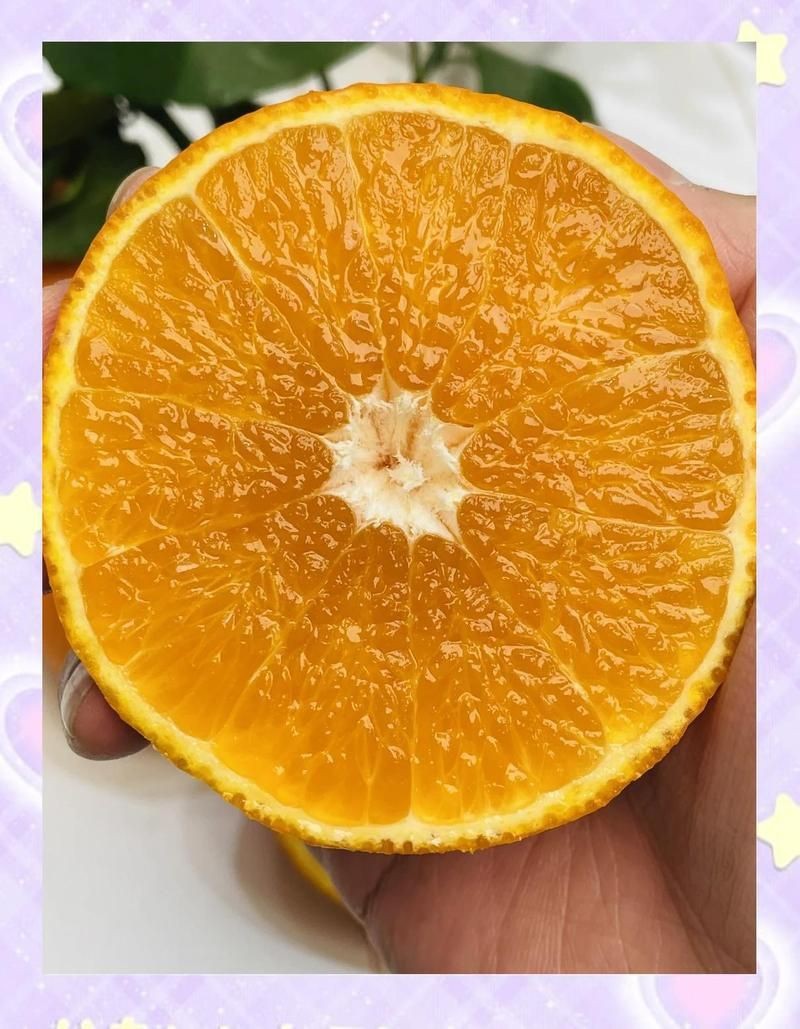 紅美人產(chǎn)自哪里