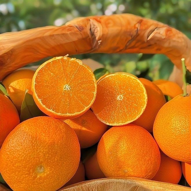 紅美人產(chǎn)自哪里