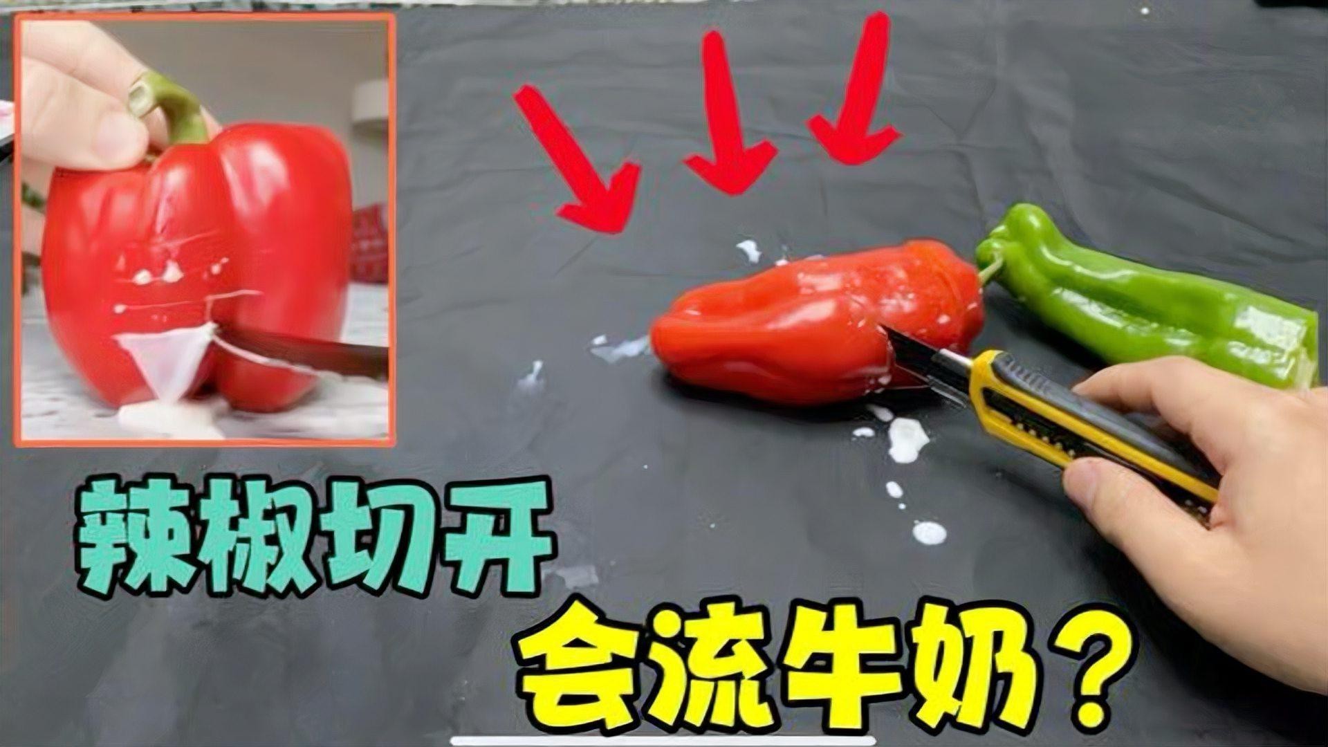 如何辨別真假紅龍23色素辣椒？