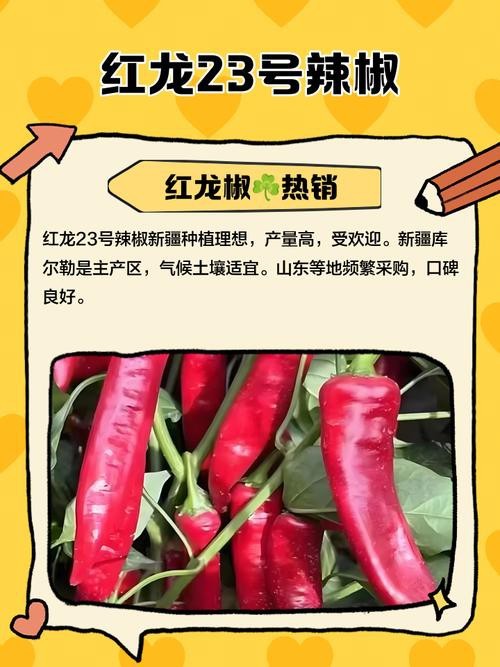 如何辨別真假紅龍23色素辣椒？