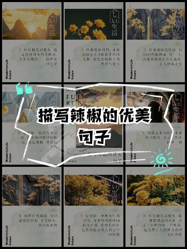 紅辣椒好詞佳句順口溜