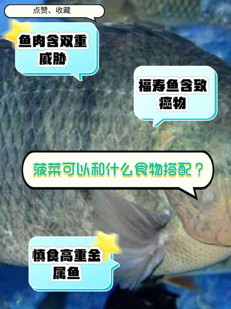 福壽魚十大禁忌