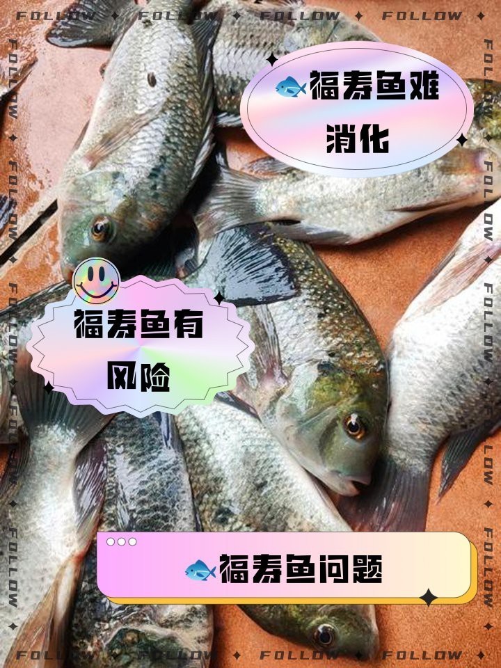 福壽魚十大禁忌