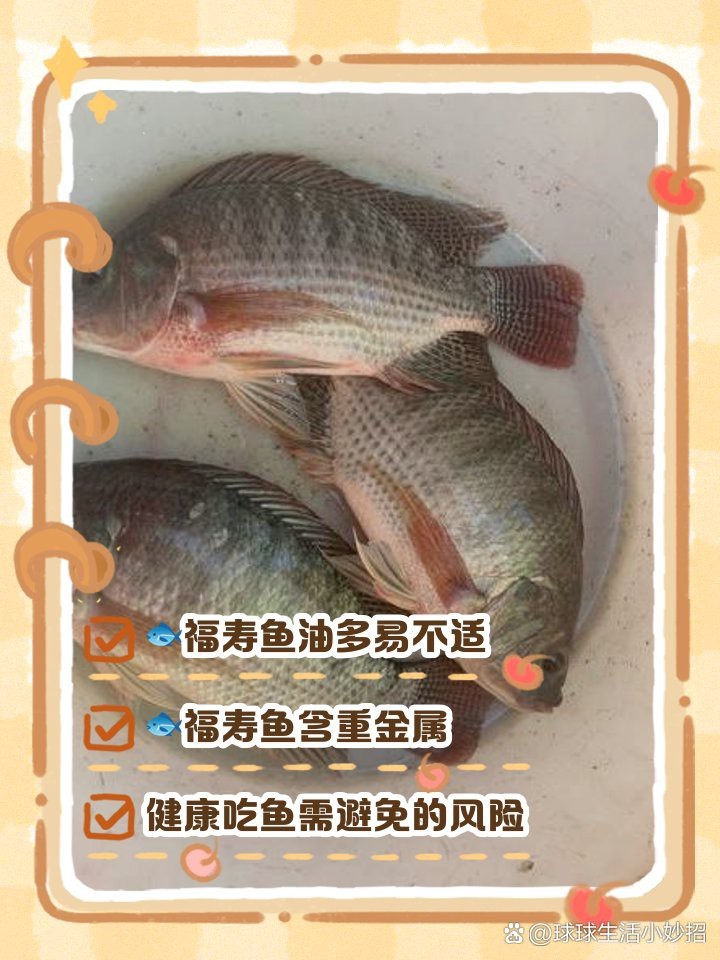 福壽魚十大禁忌