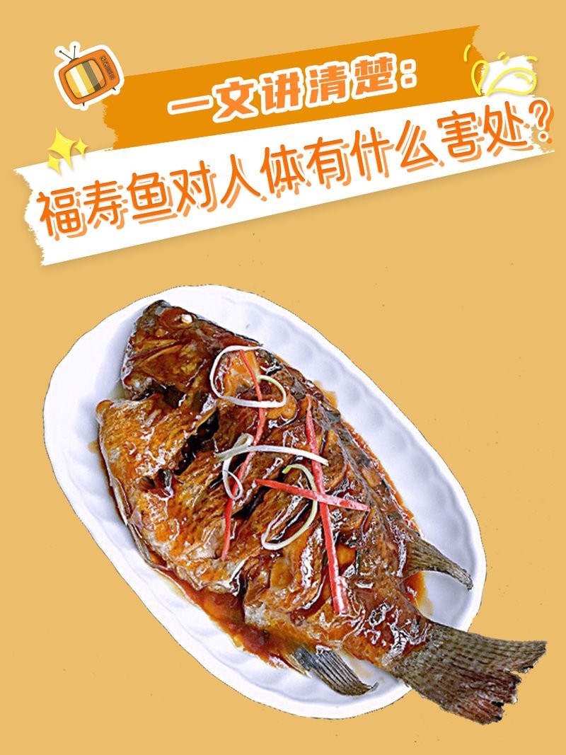 福壽魚十大禁忌