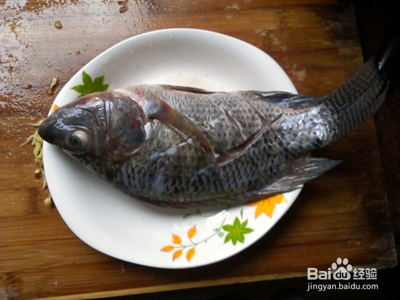 福壽魚十大禁忌