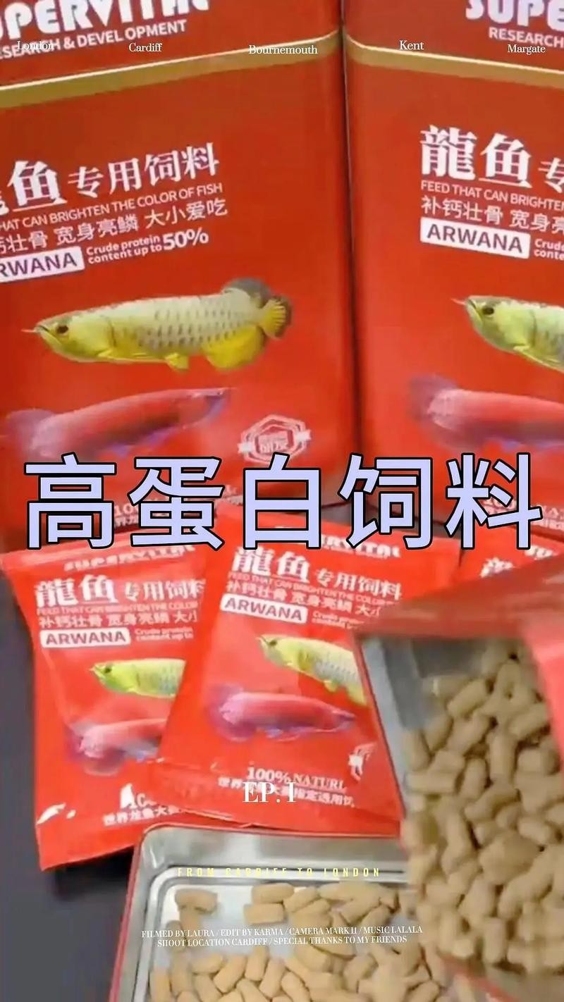 龍魚(yú)喂什么發(fā)色最好圖片