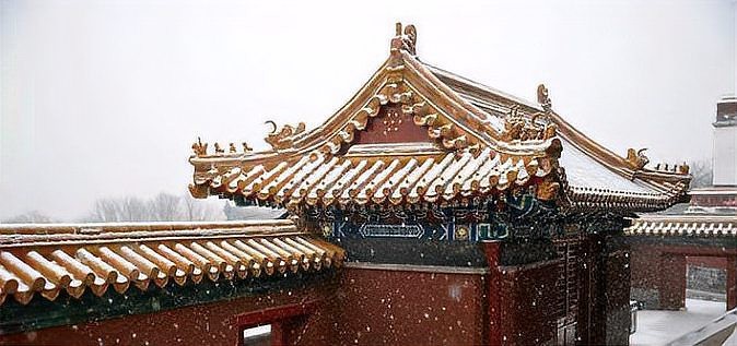 龍頭魚尾是什么神獸