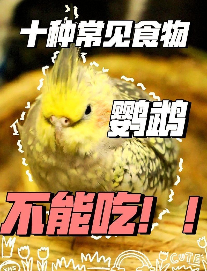 紅老虎混養最忌三種水果