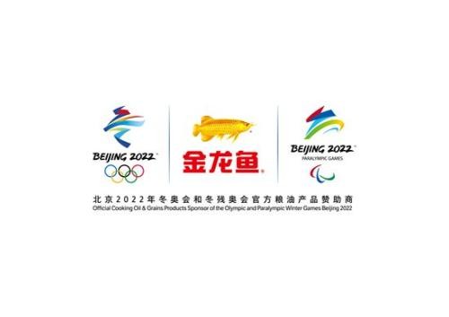 銀龍魚的缸要多大的水位（銀龍魚的缸要多大的水位才好）