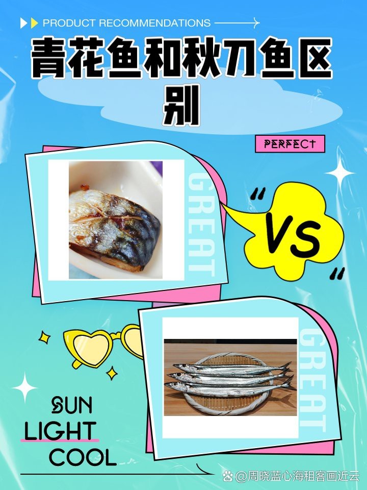 青花魚貴還是秋刀魚貴