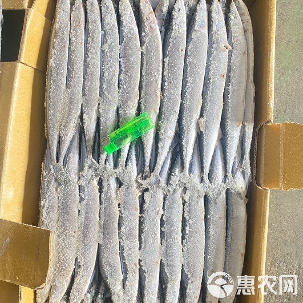 青花魚貴還是秋刀魚貴