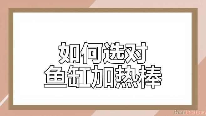 光特億c3加熱棒怎么樣